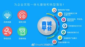 既b2c又b2b2c的移動電商模式,你了解多少